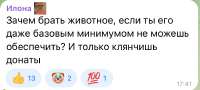 972x439
