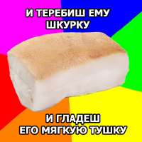 407x405