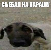 400x393