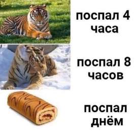 700x670