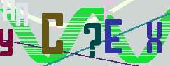 243x95