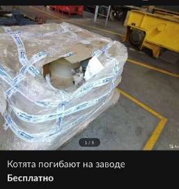 828x868