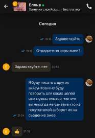 599x869