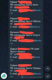 590x904