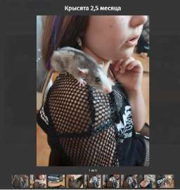 871x916