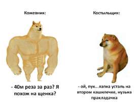 878x678