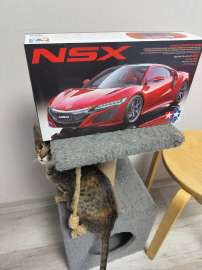 960x1280