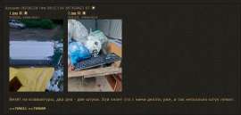 900x430