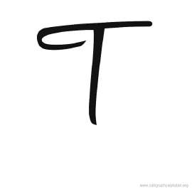 736x736