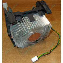 800x800