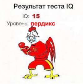 907x919