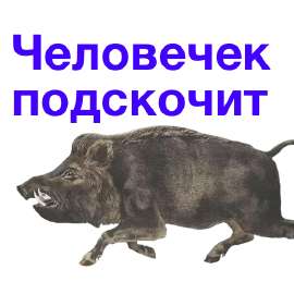 512x512