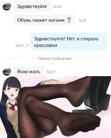 736x911