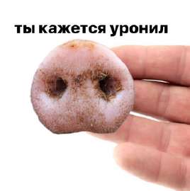 300x302