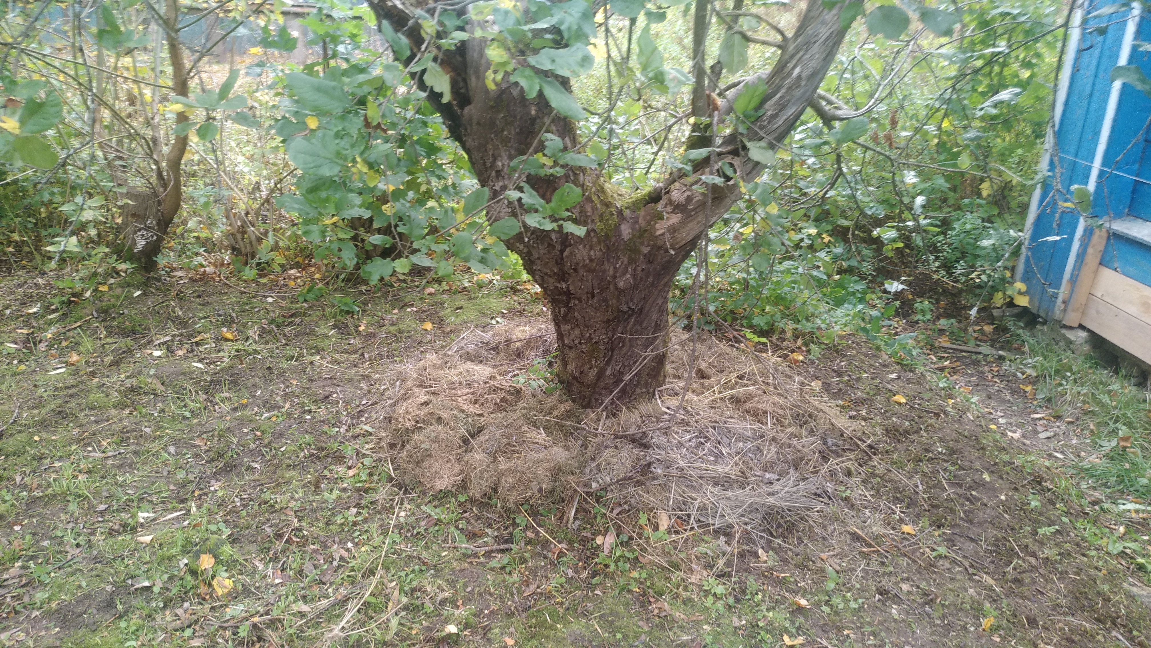 4032x2272