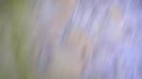 1280x720