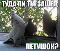 512x442