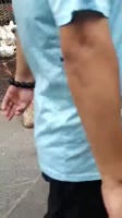 460x816