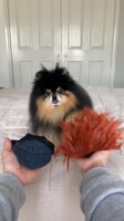 360x640