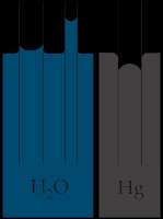 800x1068