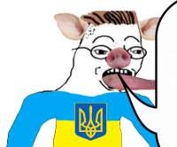 423x352