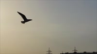 1280x720