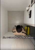 510x718