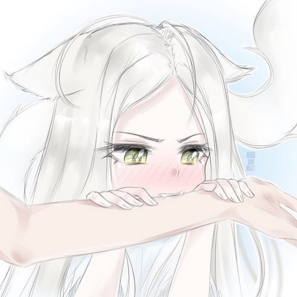 604x604