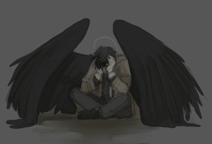 736x498