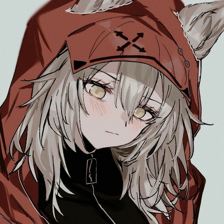 736x736