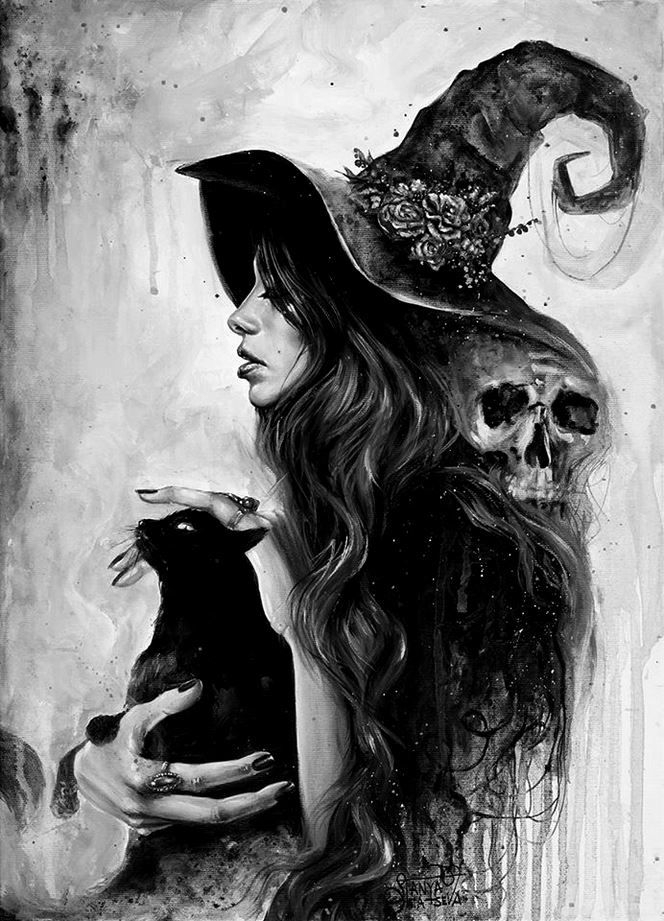 664x921