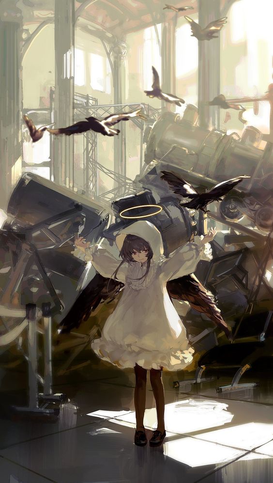 564x996
