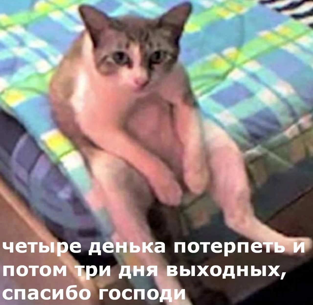 1280x1248