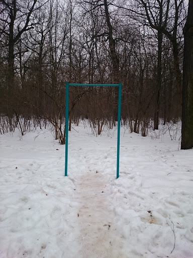 384x512
