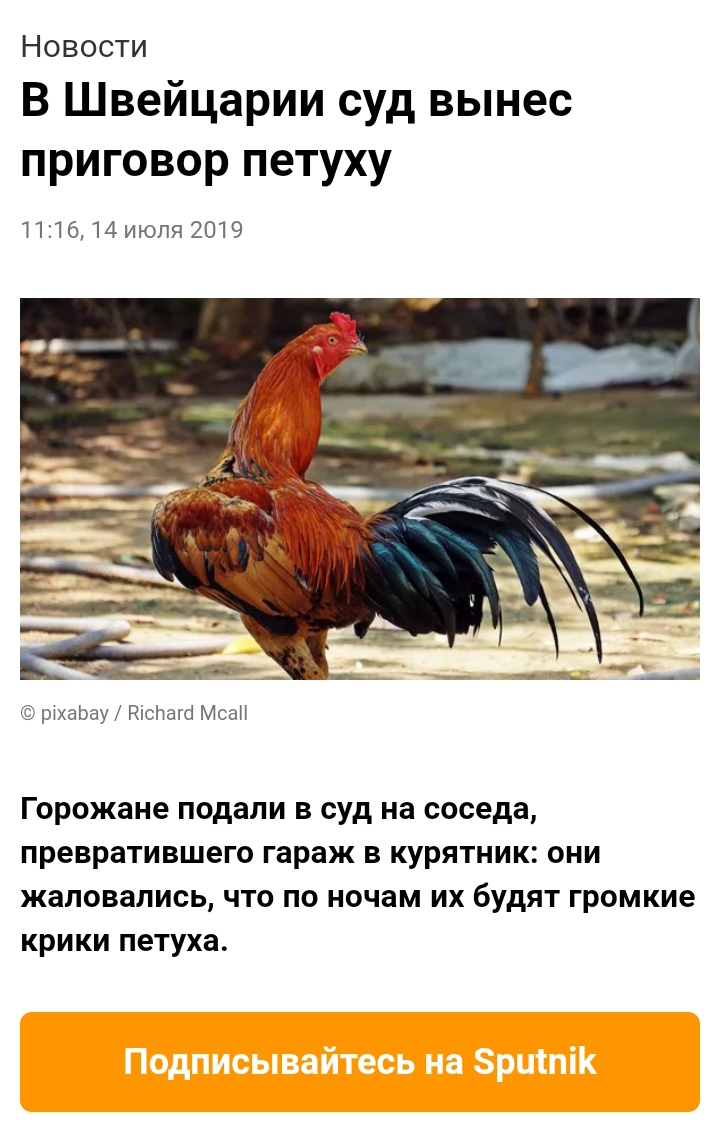 720x1146