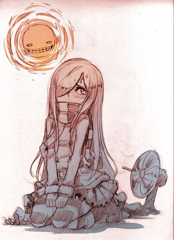 564x775