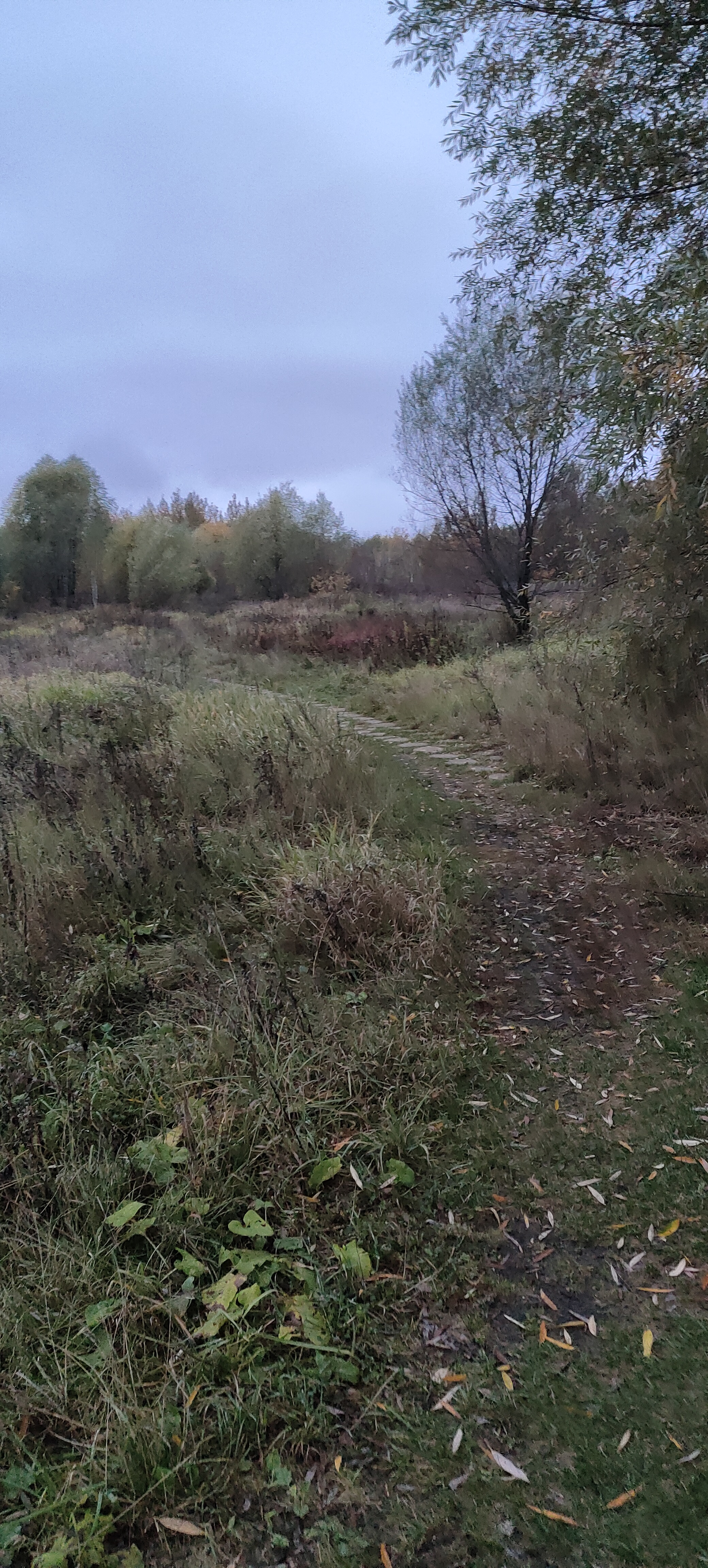 2080x4608