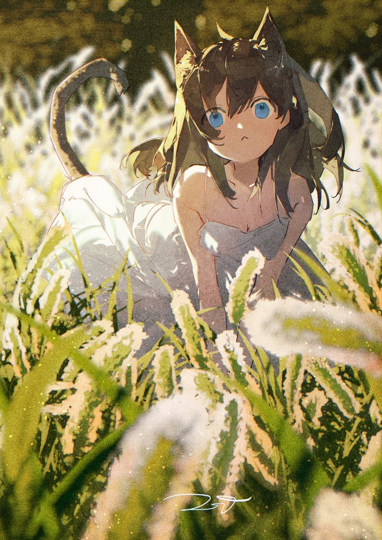 763x1080