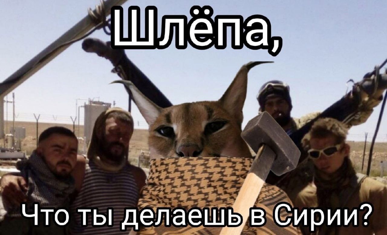 1280x779