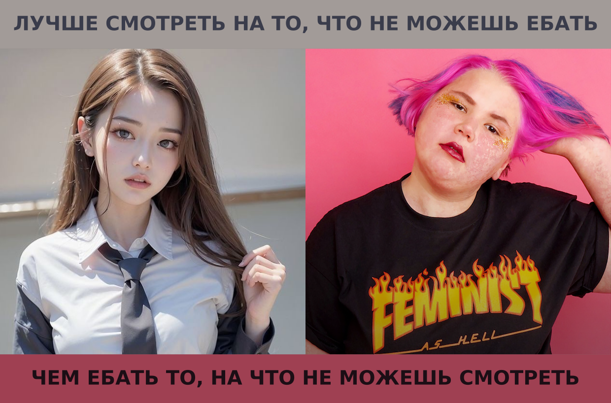 1240x818