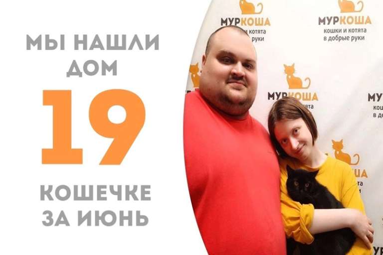 768x512