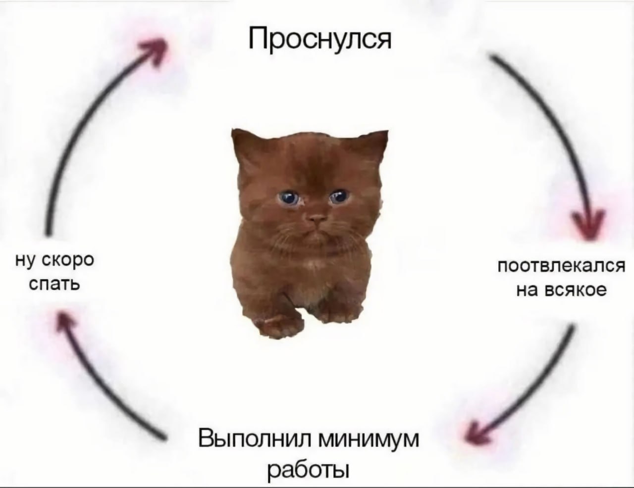 1280x986