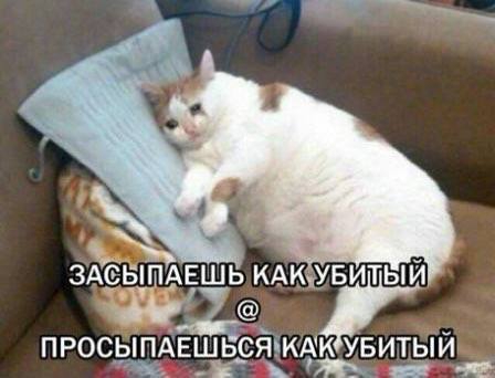 448x342