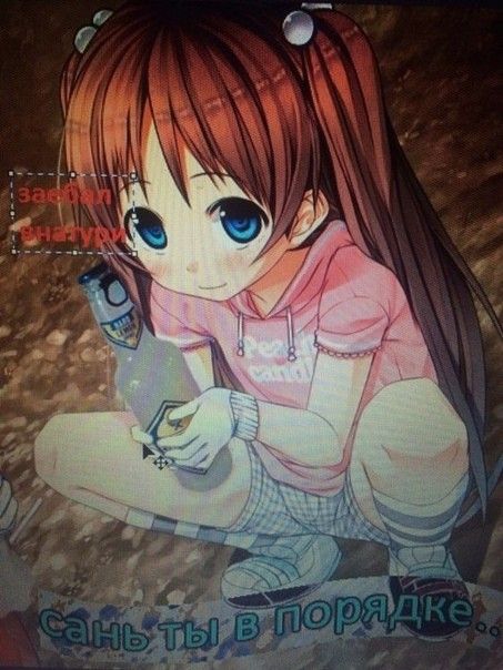 453x604