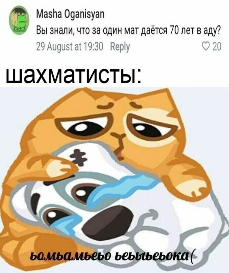 922x1101