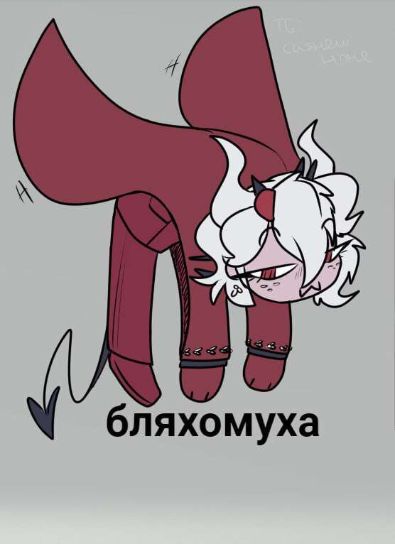 556x766