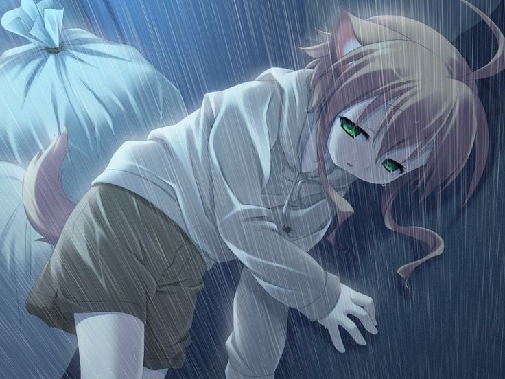 736x552