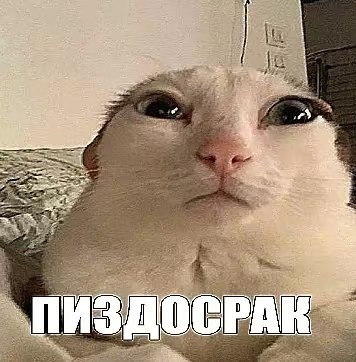 356x362