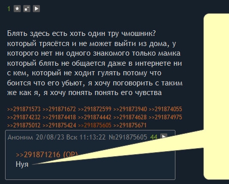 453x364