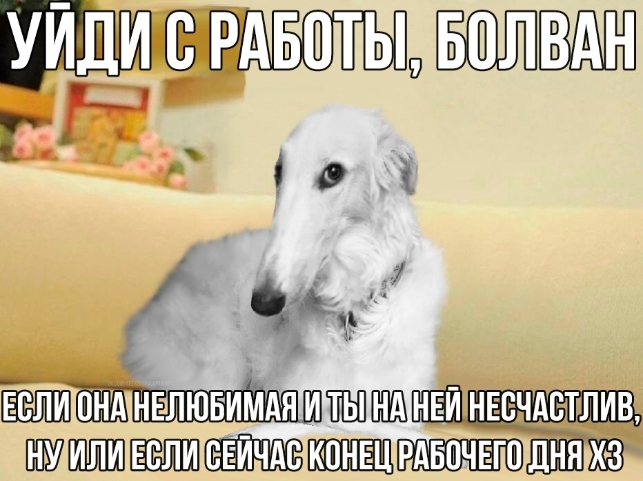 932x697